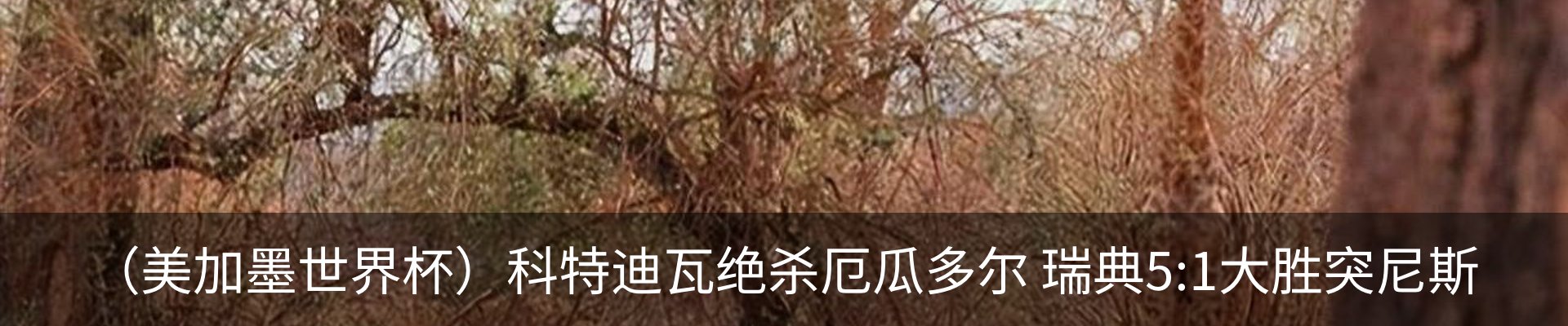 热点资讯